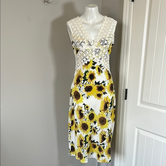 HOPE FOR FLOWERS BY TRACY REESE Silk Francoise Sleeveless Midi Dress Sz 6P - Picture 4 of 16